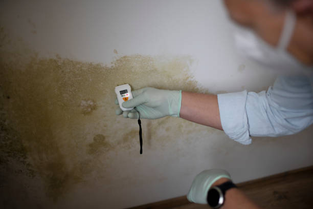 Best HVAC Mold Remediation in Swainsboro, GA