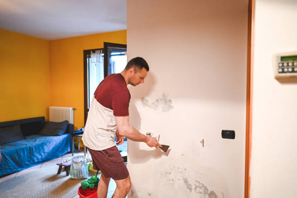 Best Insurance-Related Mold Remediation in Swainsboro, GA
